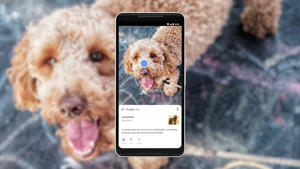 Google Lens отримав функцію генерації відповідей на основі ШІ для візуального пошуку