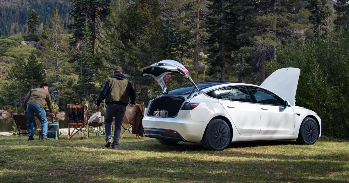 Tesla 3 Standard Model - affordable electric car