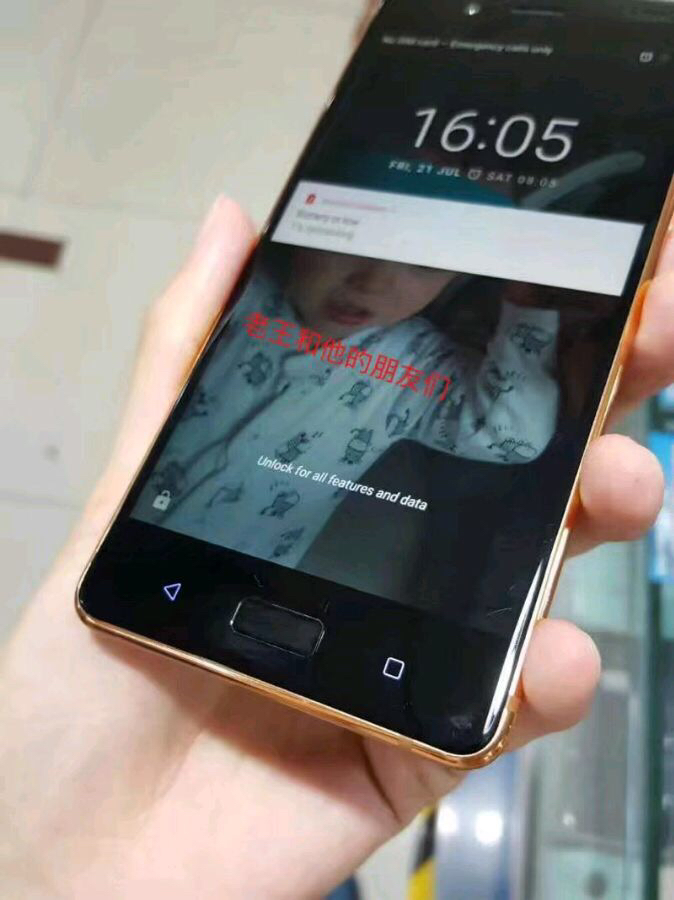 nokia-8-gold-bronze-im-1.jpg