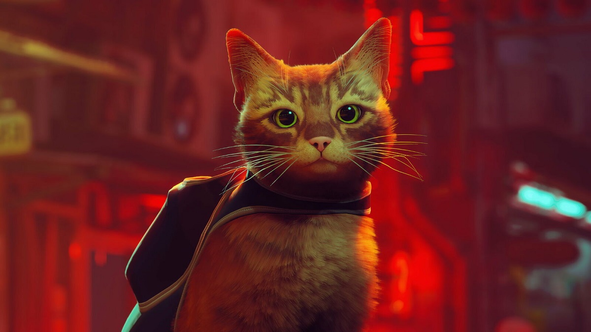 Милый кот покорит еще одну консоль: хитовая адвенчура Stray выйдет на Nintendo Switch