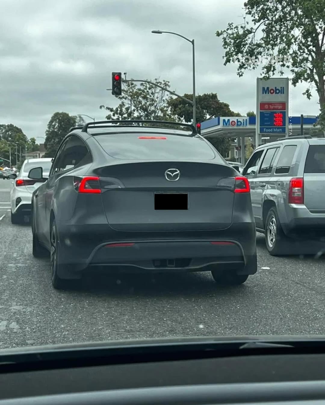 Protest against Elon Musk through vehicle branding