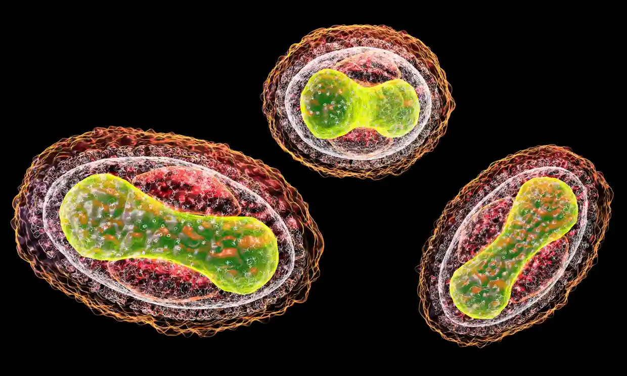 AI-based chatbots could help plan a biological attack - study