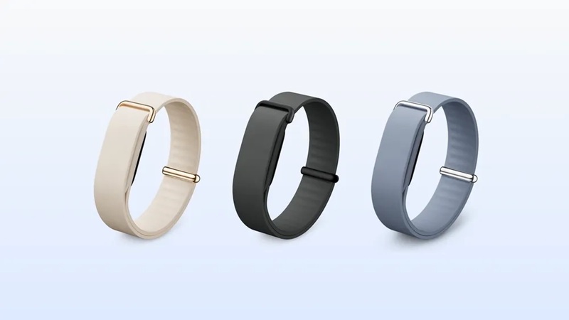 Fitbit Air функциональность