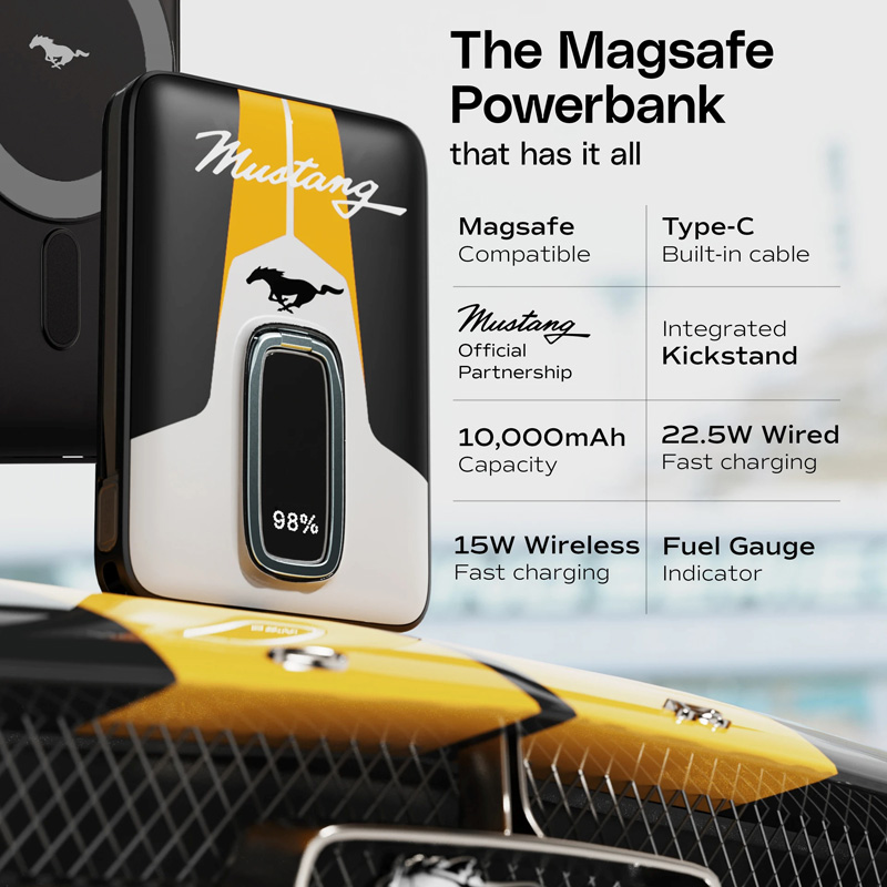 Gobolut Mustang AmpVault V10 - Детали интерфейсов