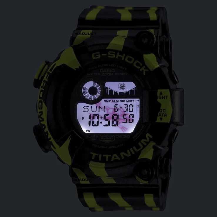 GW-8200TPF-1 digital display