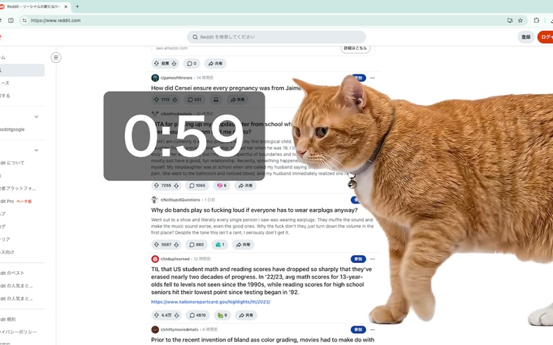 Толстый рыжий сонный кот на экране